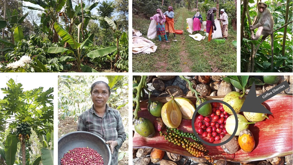 Bildschirme Format 169 InternExtern  (7)